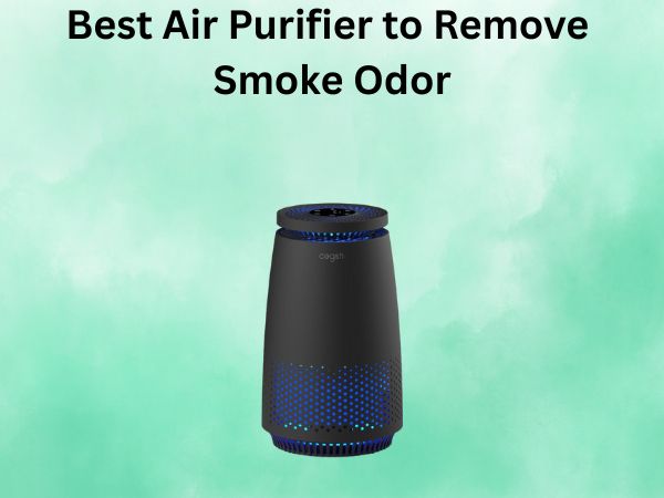 Best Air Purifier to Remove Smoke Odor