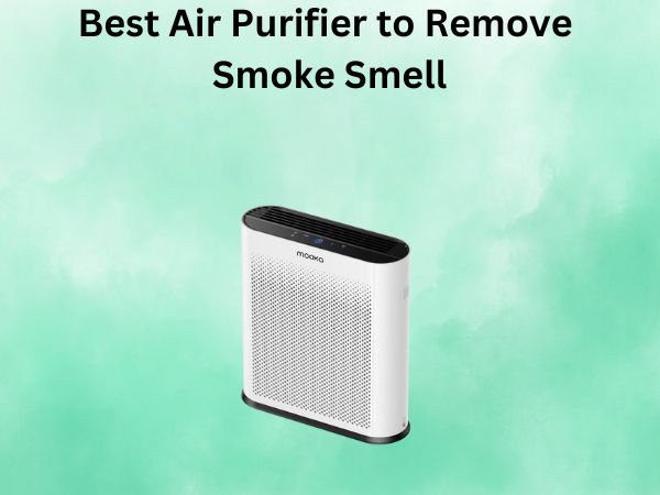 Best Air Purifier to Remove Smoke Smell