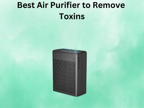Best Air Purifier to Remove Toxins