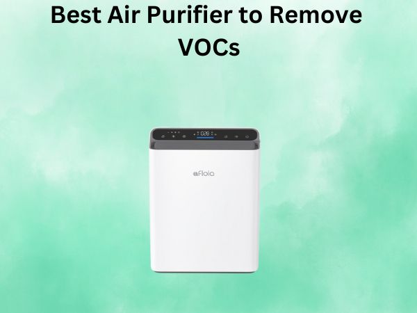 Best Air Purifier to Remove VOCs