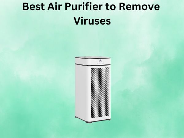 Best Air Purifier to Remove Viruses
