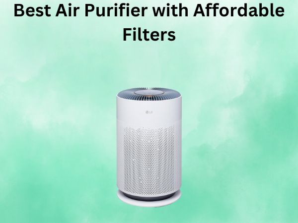 Best Air Purifier with Affordable Filters