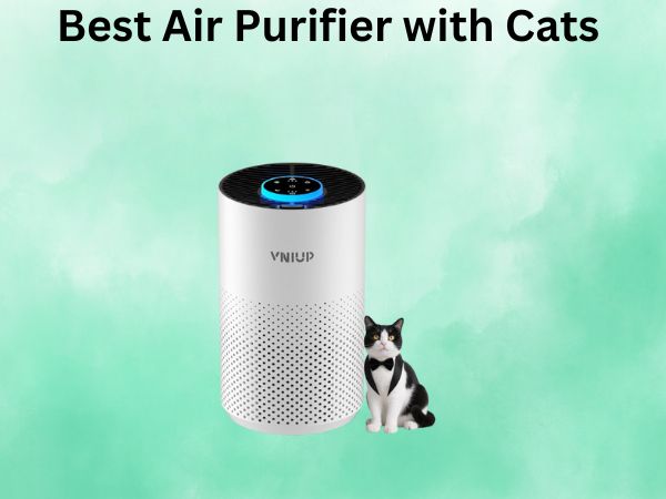 Best Air Purifier with Cats