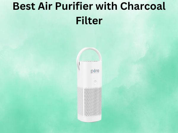 Best Air Purifier with Charcoal Filter