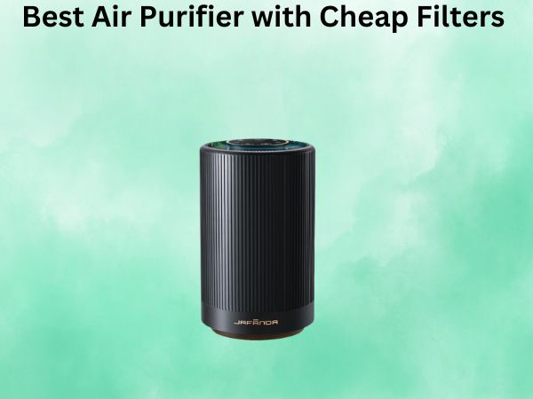 Best Air Purifier with Cheap Filters