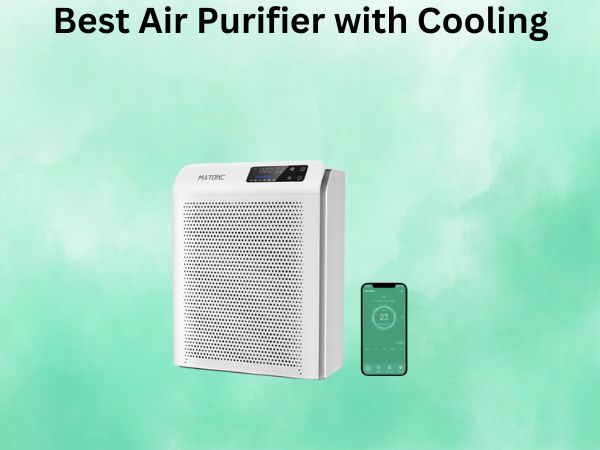 Best Air Purifier with Cooling