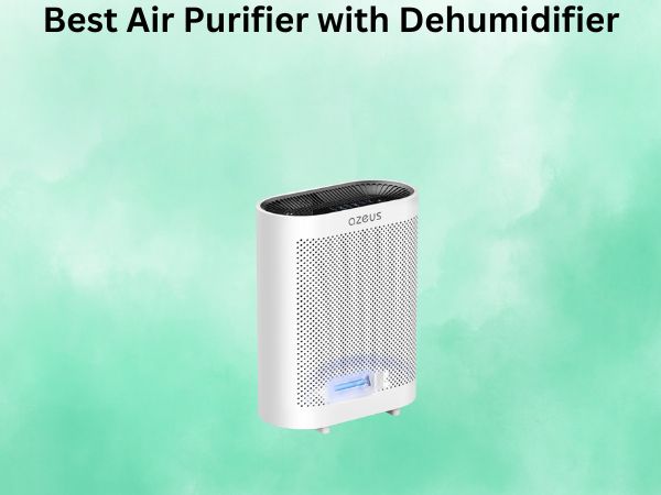 Best Air Purifier with Dehumidifier