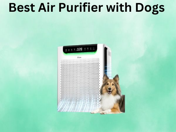 Best Air Purifier with Dogs