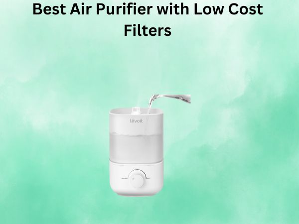 Best Air Purifier with Low Cost Filters
