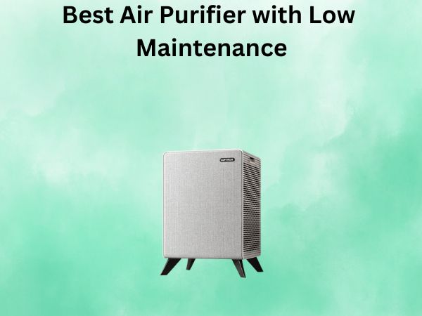 Best Air Purifier with Low Maintenance
