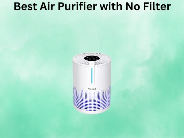 Best Air Purifier with No Filter