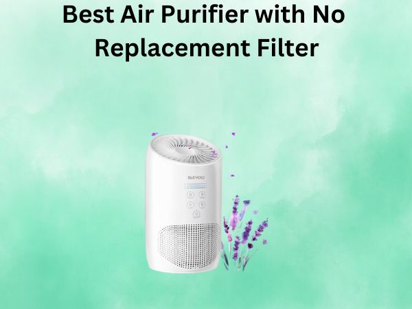 Best Air Purifier with No Replacement Filter