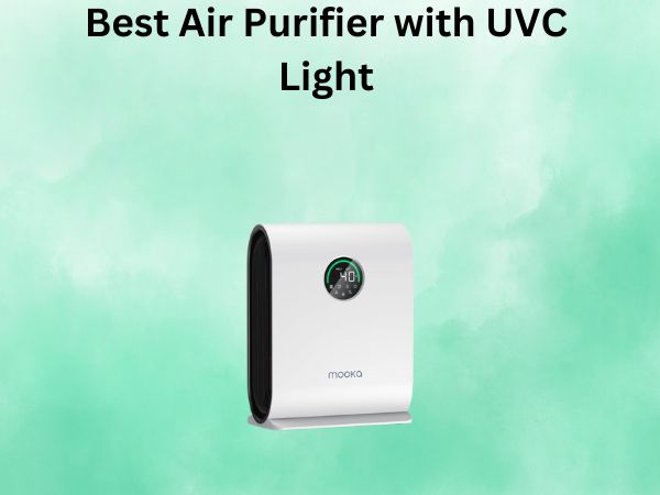 Best Air Purifier with UVC Light