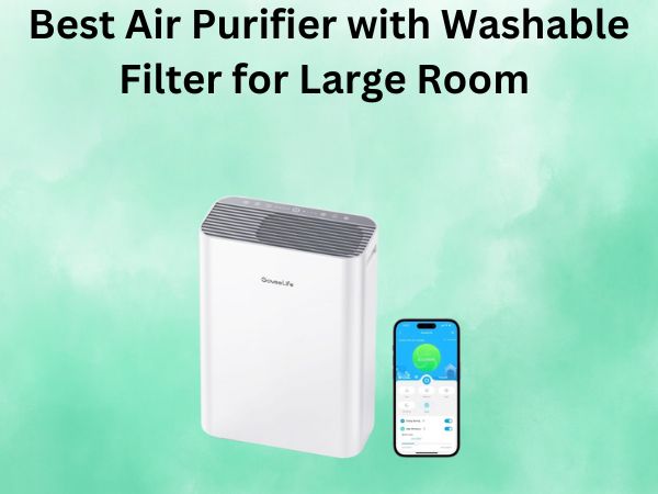 Best Air Purifier with Washable Filter for Large Room