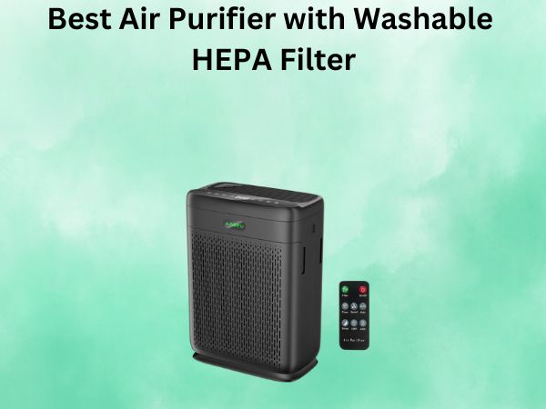 Best Air Purifier with Washable HEPA Filter