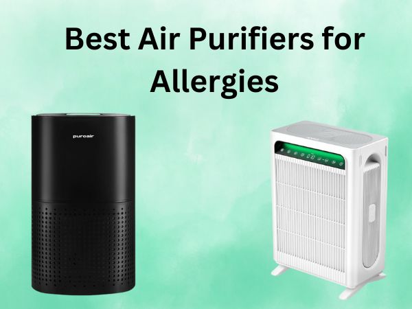 Best Air Purifiers for Allergies