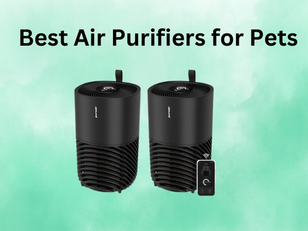Best Air Purifiers for Pet
