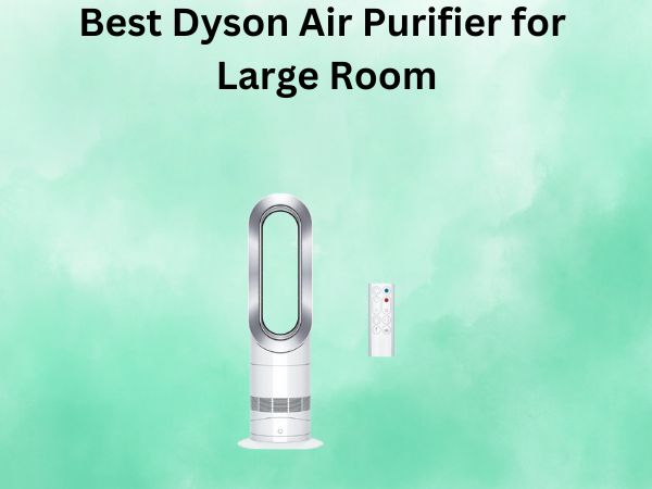 Best Dyson Air Purifier for Large Room