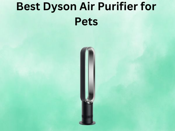 Best Dyson Air Purifier for Pets