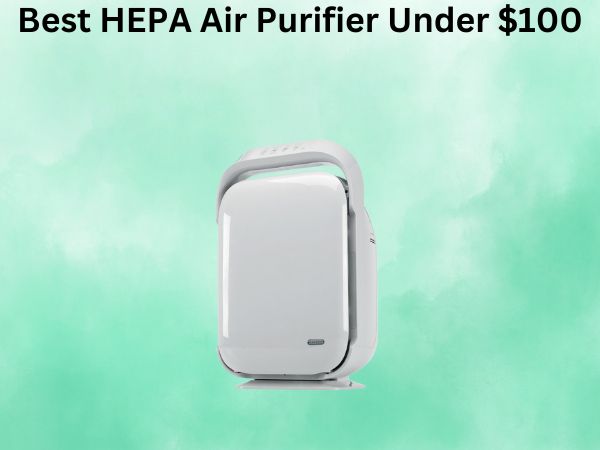 Best HEPA Air Purifier Under $100