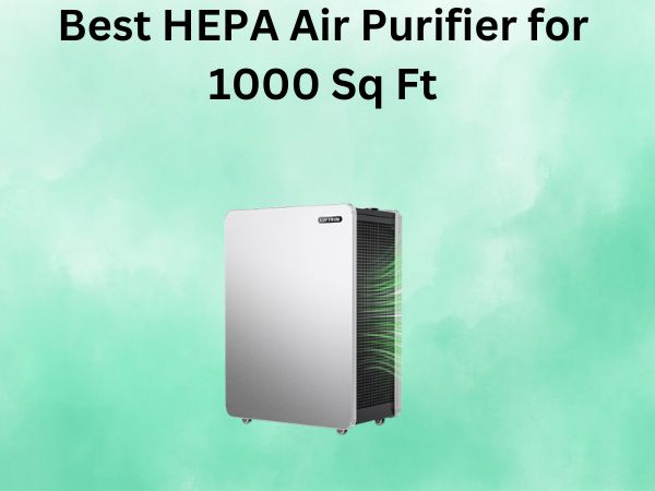 Best HEPA Air Purifier for 1000 Sq Ft