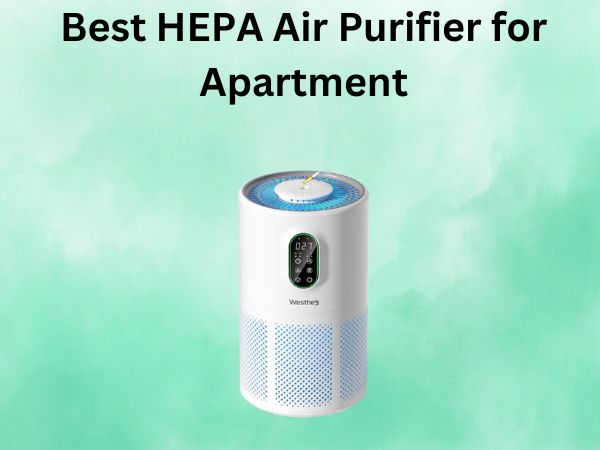 Best HEPA Air Purifier for Apartment