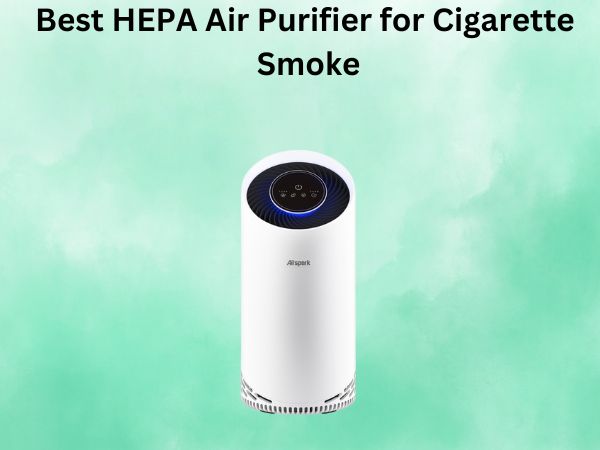 Best HEPA Air Purifier for Cigarette Smoke