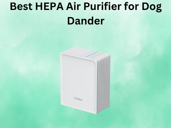 Best HEPA Air Purifier for Dog Dander