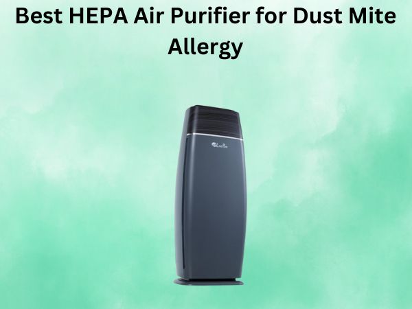 Best HEPA Air Purifier for Dust Mite Allergy