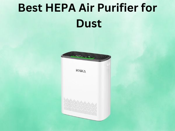 Best HEPA Air Purifier for Dust