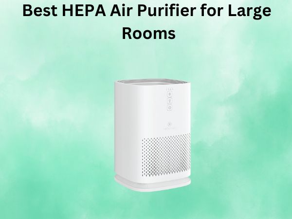 Best HEPA Air Purifier for Large Rooms