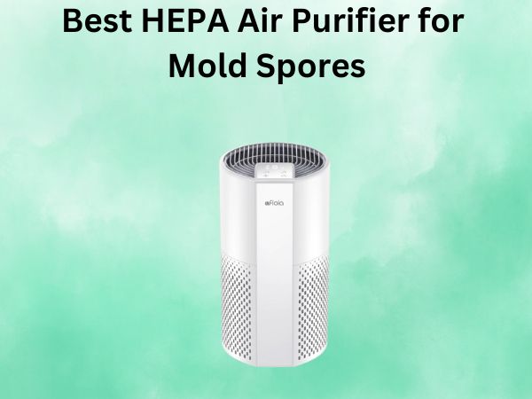 Best HEPA Air Purifier for Mold Spores