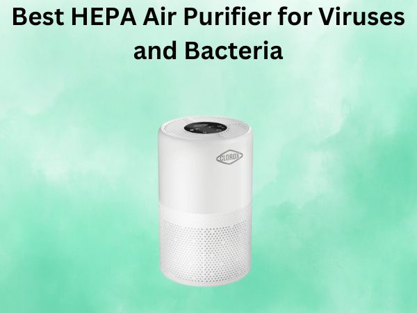 Best HEPA Air Purifier for Viruses and Bacteria