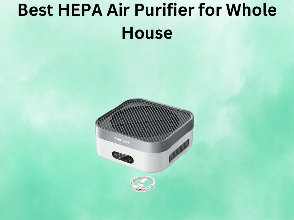Best HEPA Air Purifier for Whole House