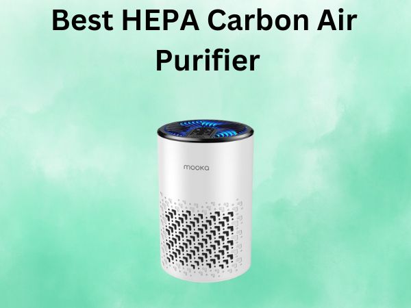 Best HEPA Carbon Air Purifier