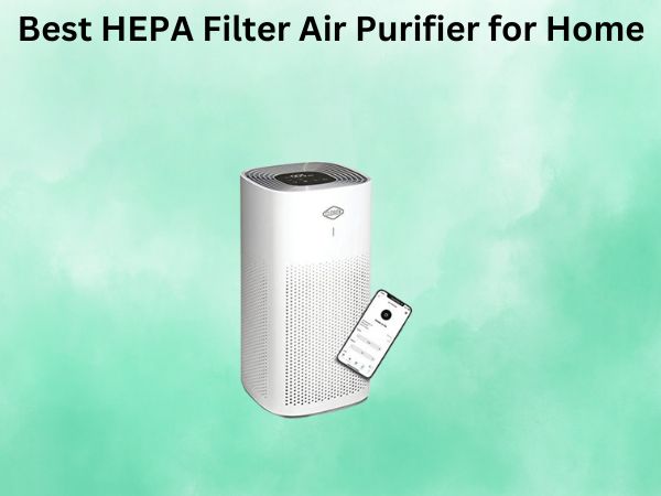 Best HEPA Filter Air Purifier for Home