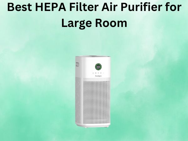 Best HEPA Filter Air Purifier for Large Room
