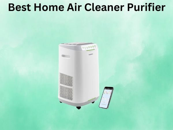 Best Home Air Cleaner Purifier