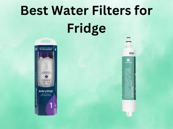 Best Water Filters for Fridge
