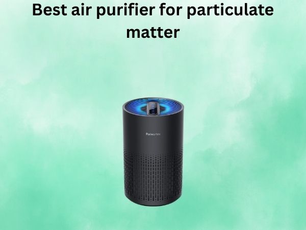 Best air purifier for particulate matter