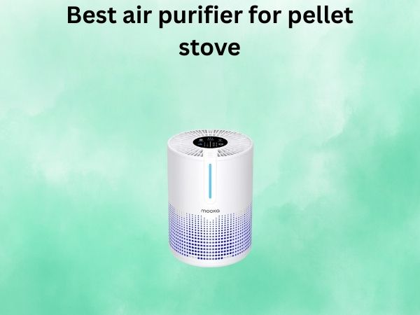Best air purifier for pellet stove