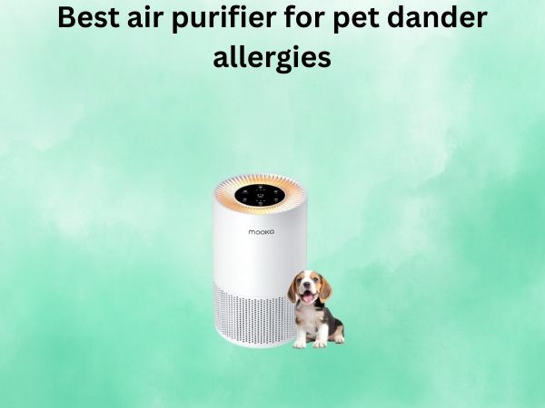 Best air purifier for pet dander allergies