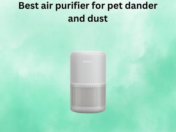 Best air purifier for pet dander and dust