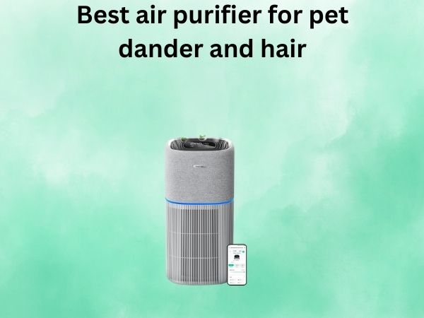 Best air purifier for pet dander and hair