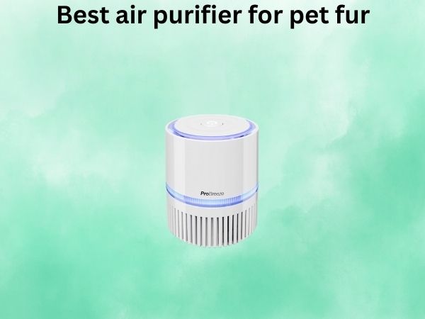 Best air purifier for pet fur