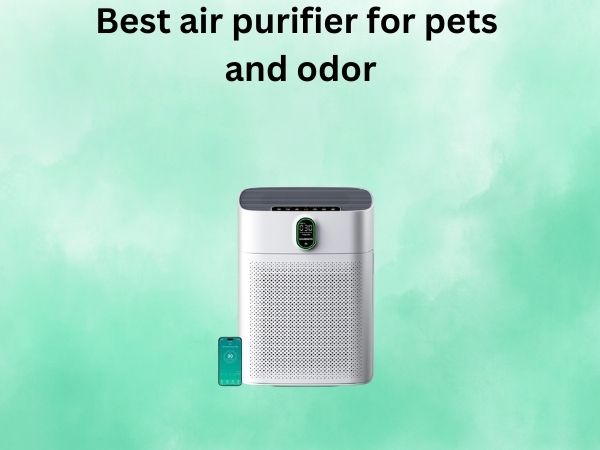 Best air purifier for pets and odor