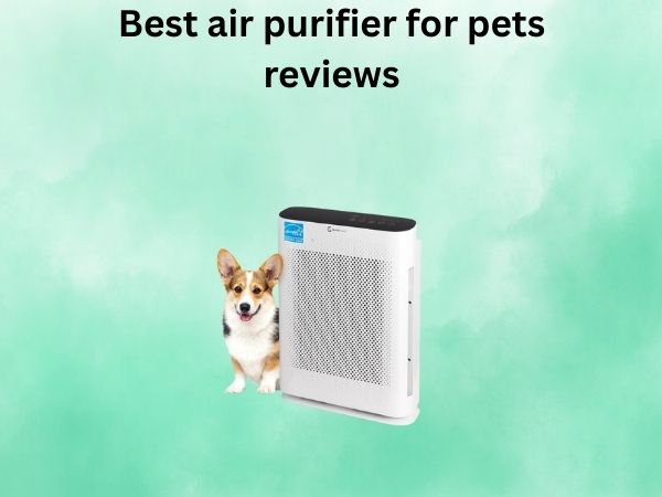 Best air purifier for pets reviews