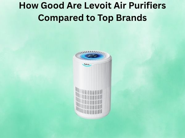 How Good Are Levoit Air Purifiers Compared to Top Brands