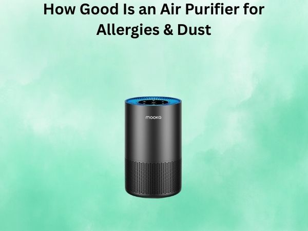 How Good Is an Air Purifier for Allergies & Dust