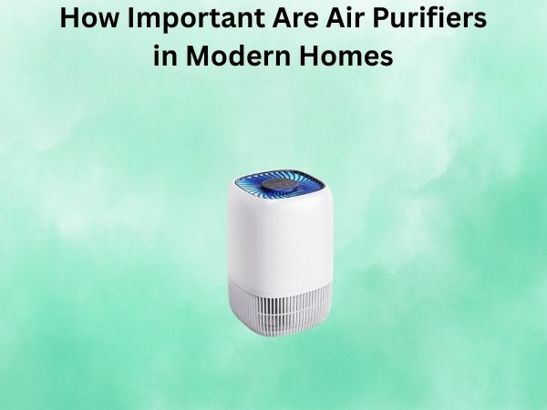 How Important Are Air Purifiers in Modern Homes